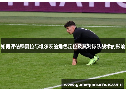 如何评估穆夏拉与维尔茨的角色定位及其对球队战术的影响